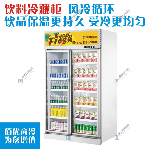 双门饮料冷藏柜是，立式风冷展示柜定制，超市冷藏保鲜冰柜厂家